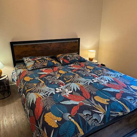 Residence Bois Du Bouchet, Appartement Vue Montagne, Calme, Parking Gratuit, Proche Centre Chamonix Buitenkant foto