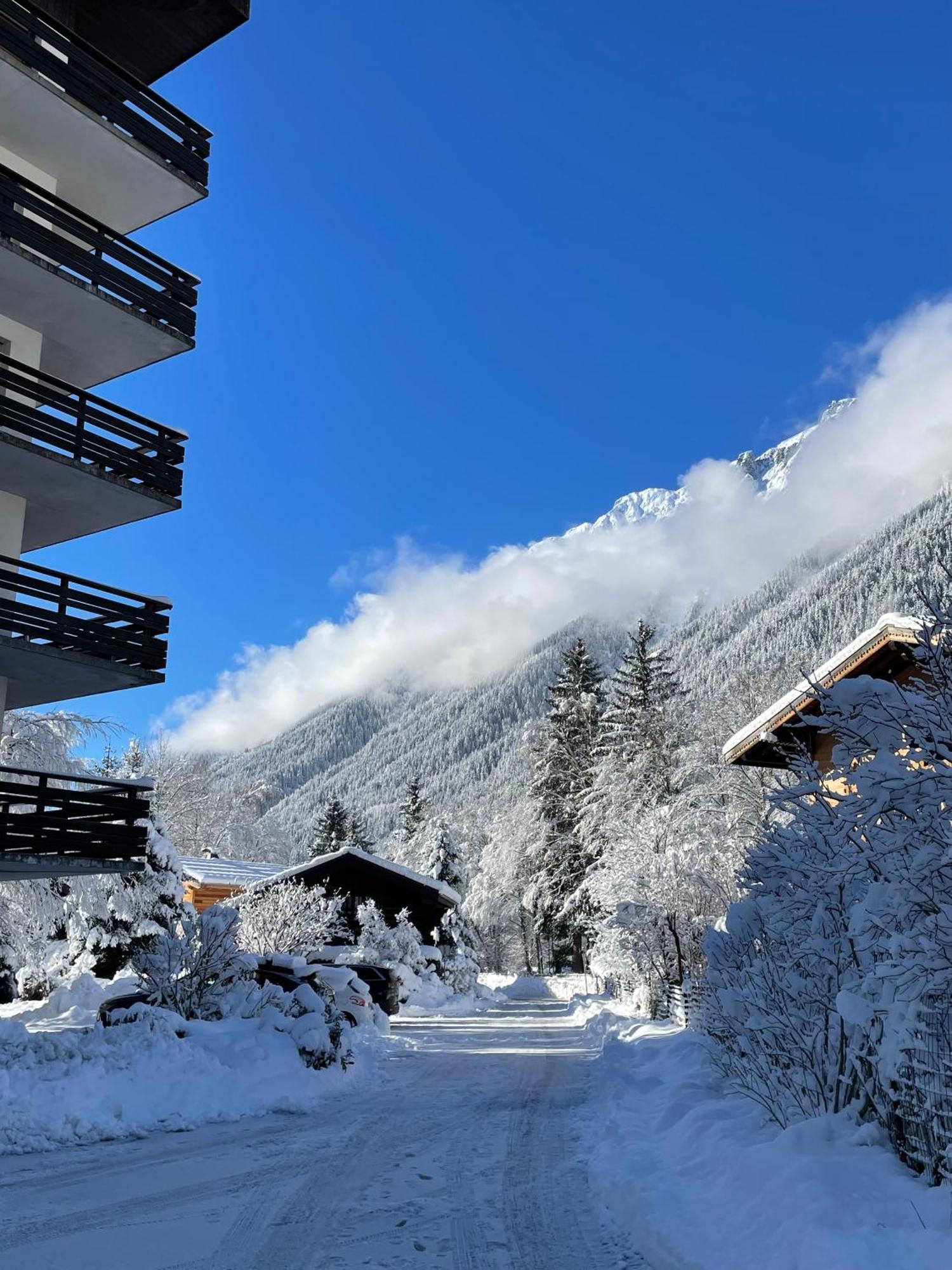Residence Bois Du Bouchet, Appartement Vue Montagne, Calme, Parking Gratuit, Proche Centre Chamonix Buitenkant foto