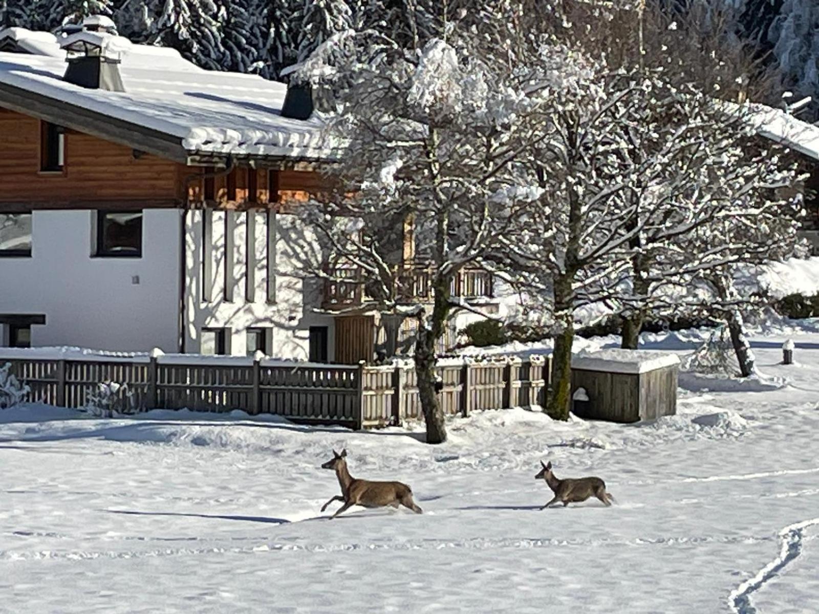 Residence Bois Du Bouchet, Appartement Vue Montagne, Calme, Parking Gratuit, Proche Centre Chamonix Buitenkant foto