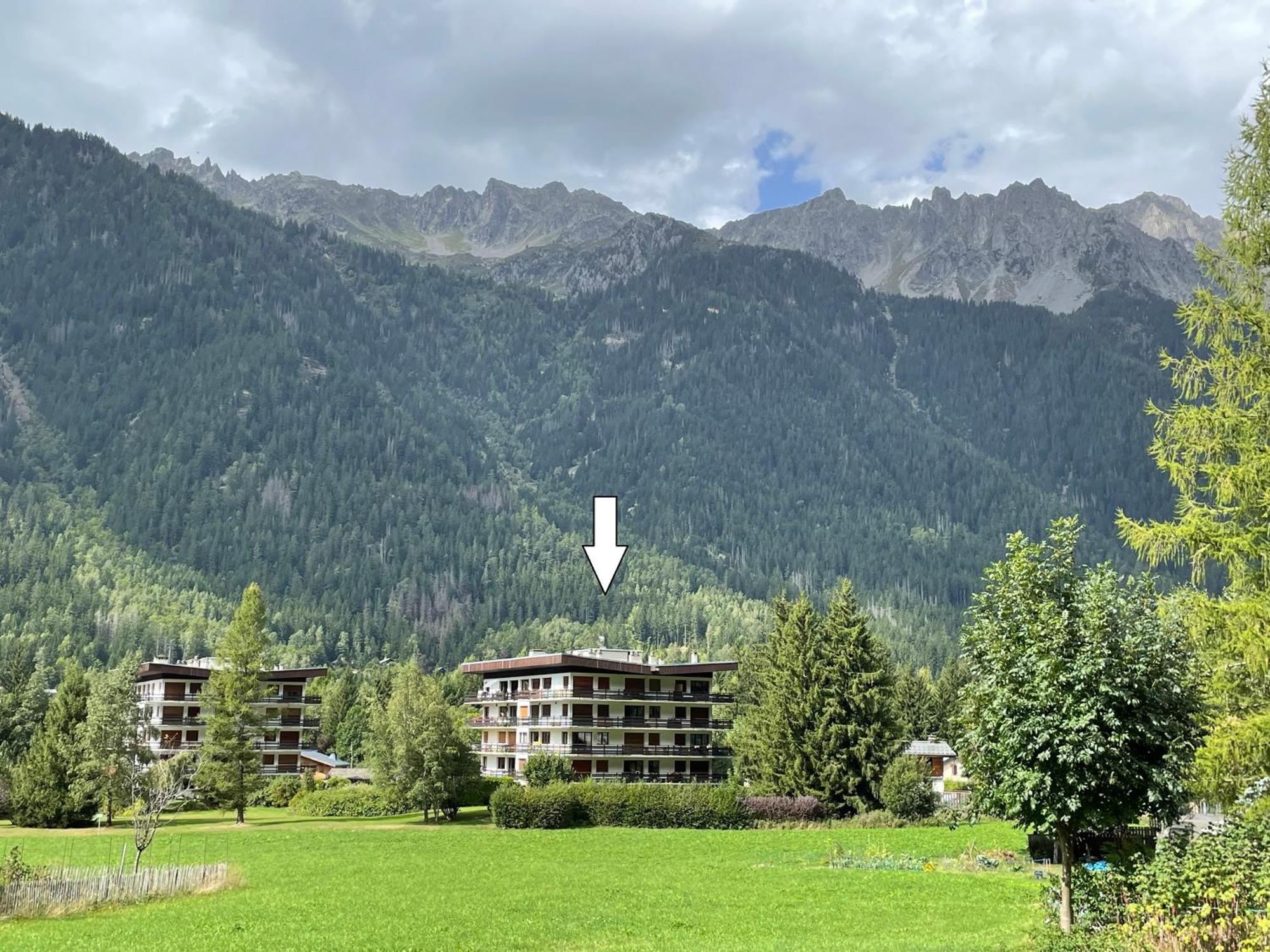 Residence Bois Du Bouchet, Appartement Vue Montagne, Calme, Parking Gratuit, Proche Centre Chamonix Buitenkant foto