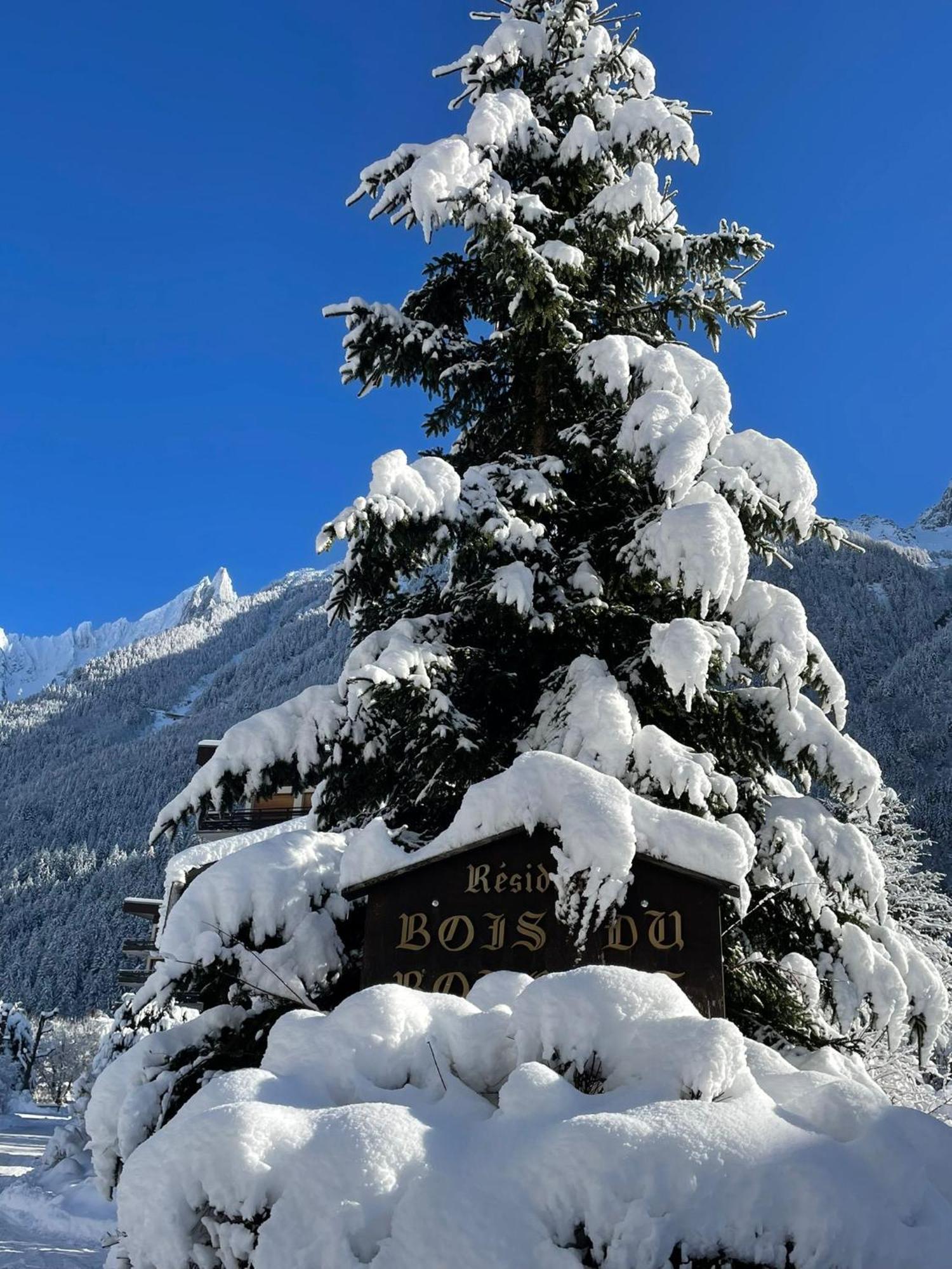 Residence Bois Du Bouchet, Appartement Vue Montagne, Calme, Parking Gratuit, Proche Centre Chamonix Buitenkant foto
