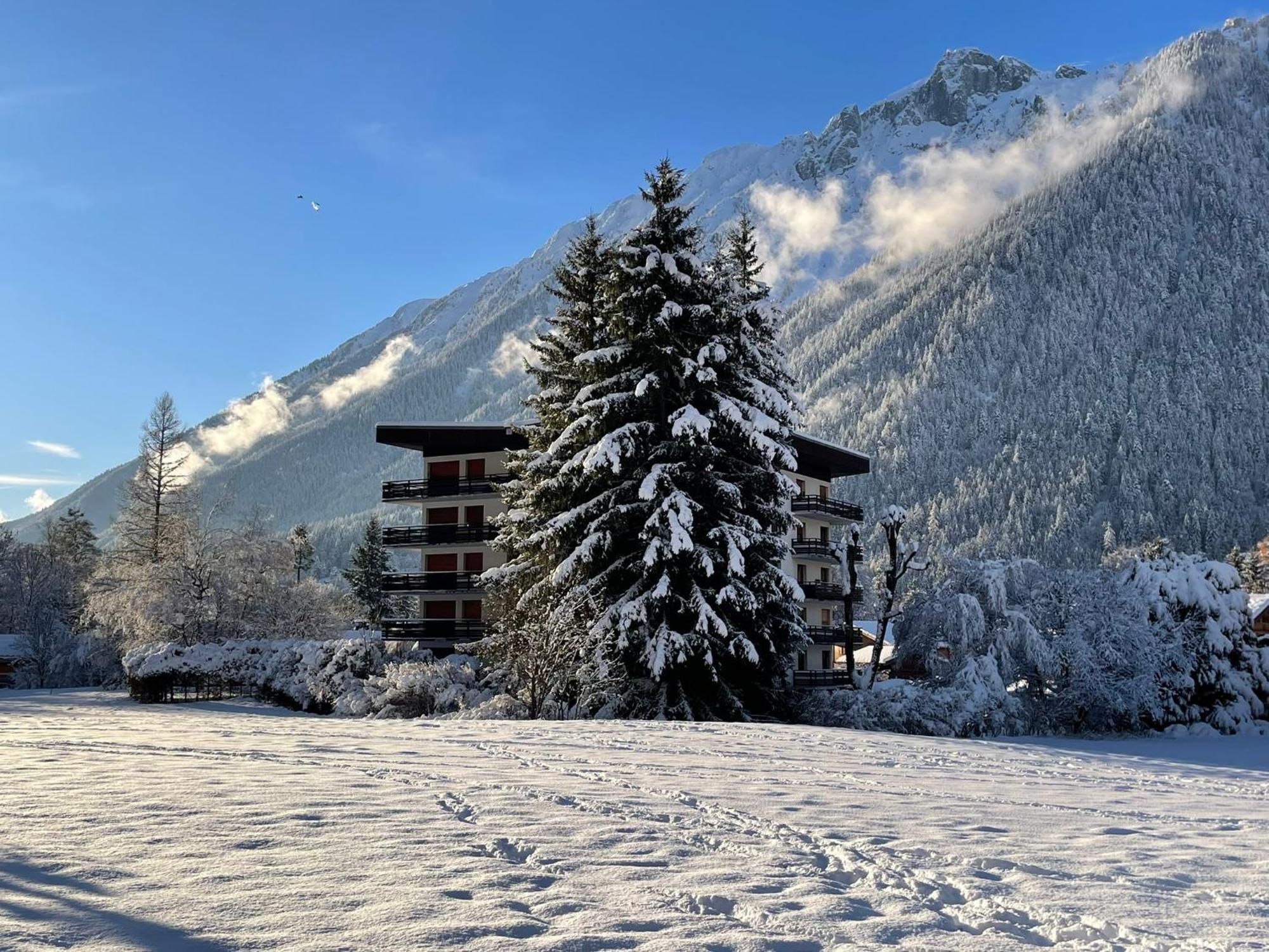 Residence Bois Du Bouchet, Appartement Vue Montagne, Calme, Parking Gratuit, Proche Centre Chamonix Buitenkant foto